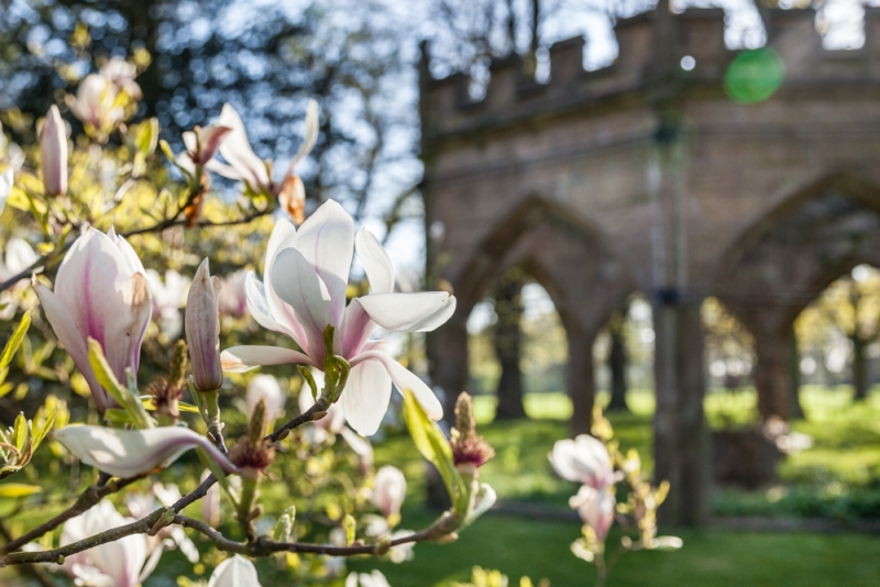 Renishaw Hall & Gardens